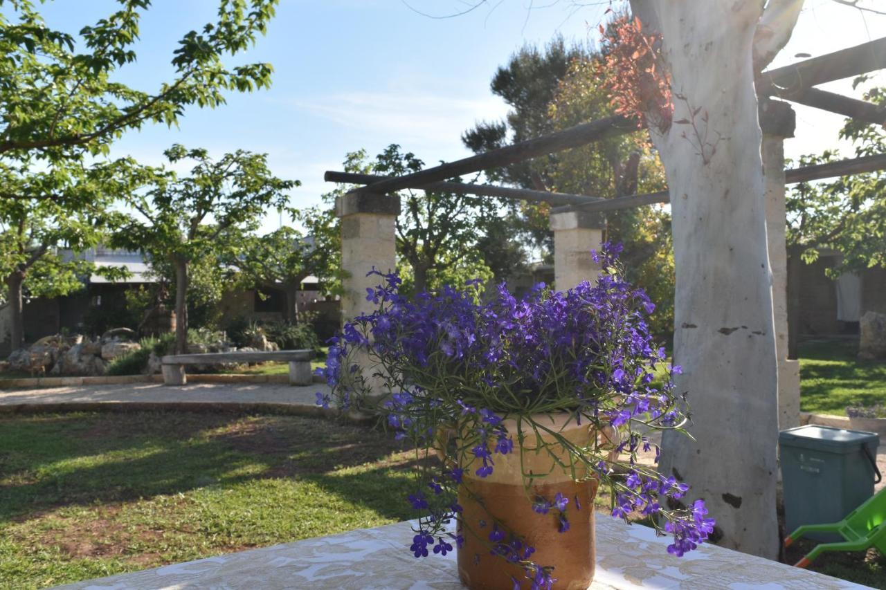 Tenuta Nonno Carmine Porto Cesareo Extérieur photo